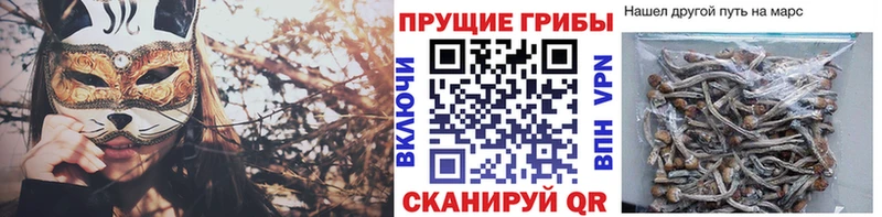 купить наркоту  нарко площадка клад  Псилоцибиновые грибы Psilocybine cubensis  Ржев 